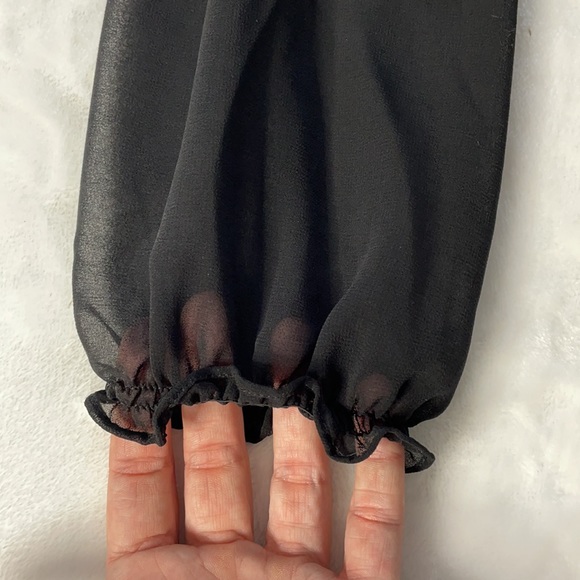 NWOT Sheer Ruffled Front Blouse - Picture 4 of 5